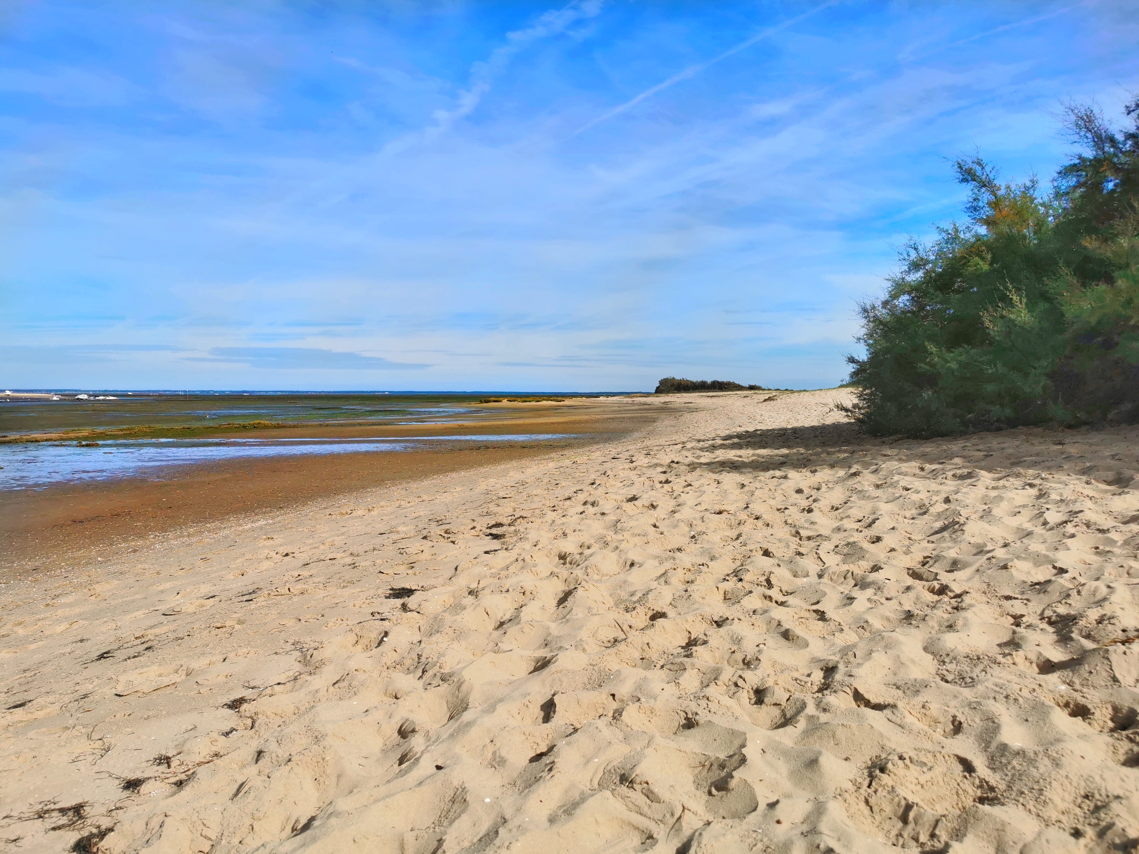 La plus belle : plage de La Teste Sentier Est ici à marée basse