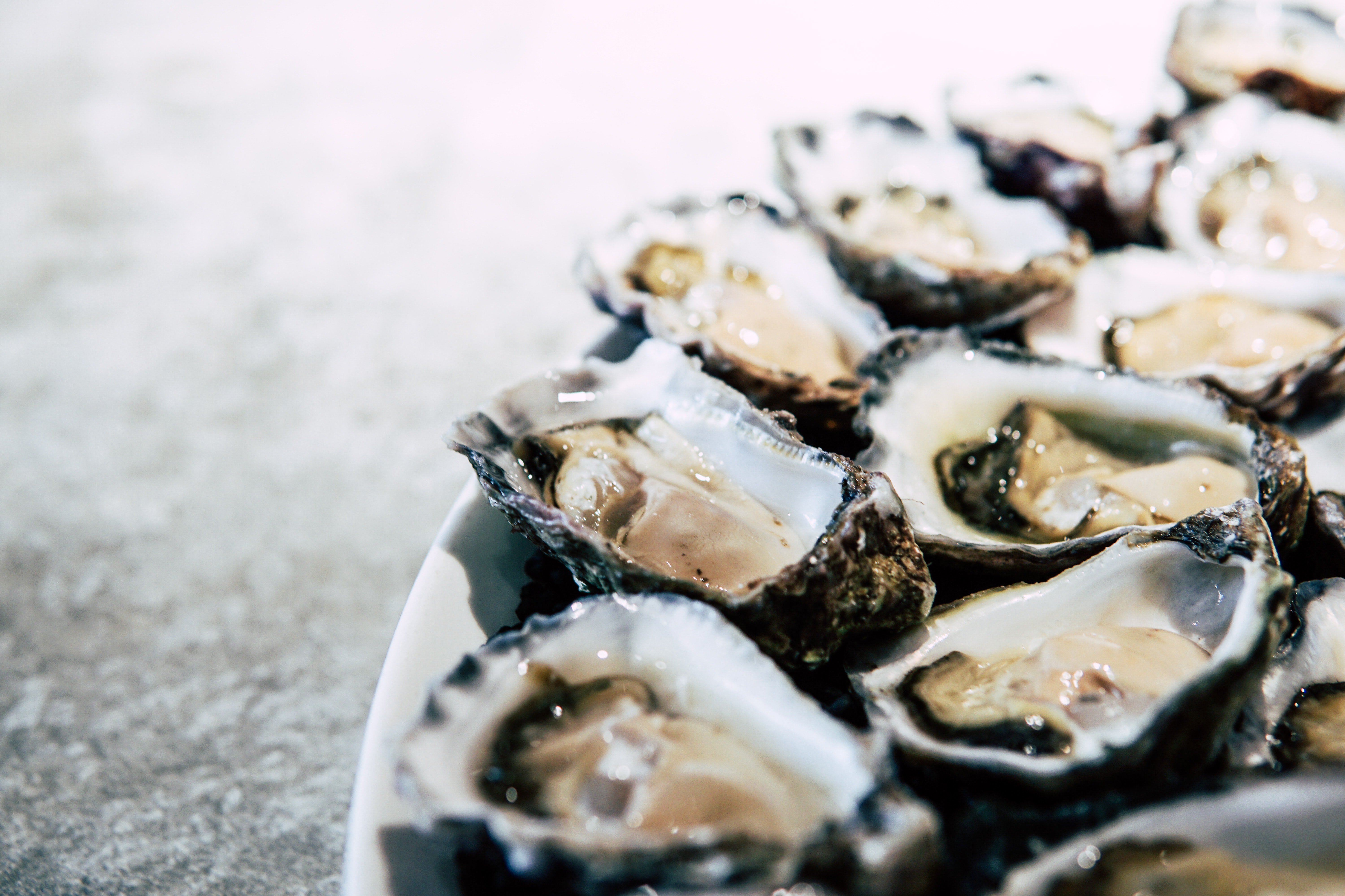 Les huîtres du bassin d’arcachon sont elles bonnes pour la santé ?