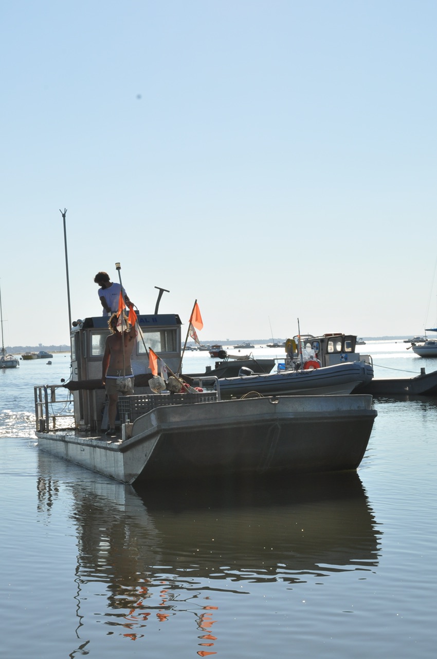 ostréiculteur au travail sur le bassin d’Arcachon