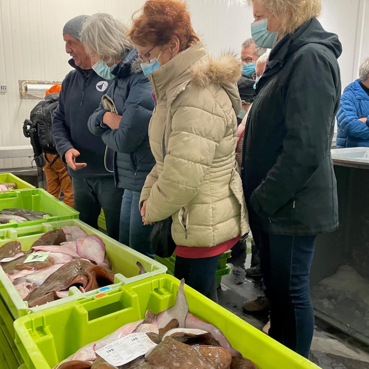 Les poissons frais à la criée à Arcachon