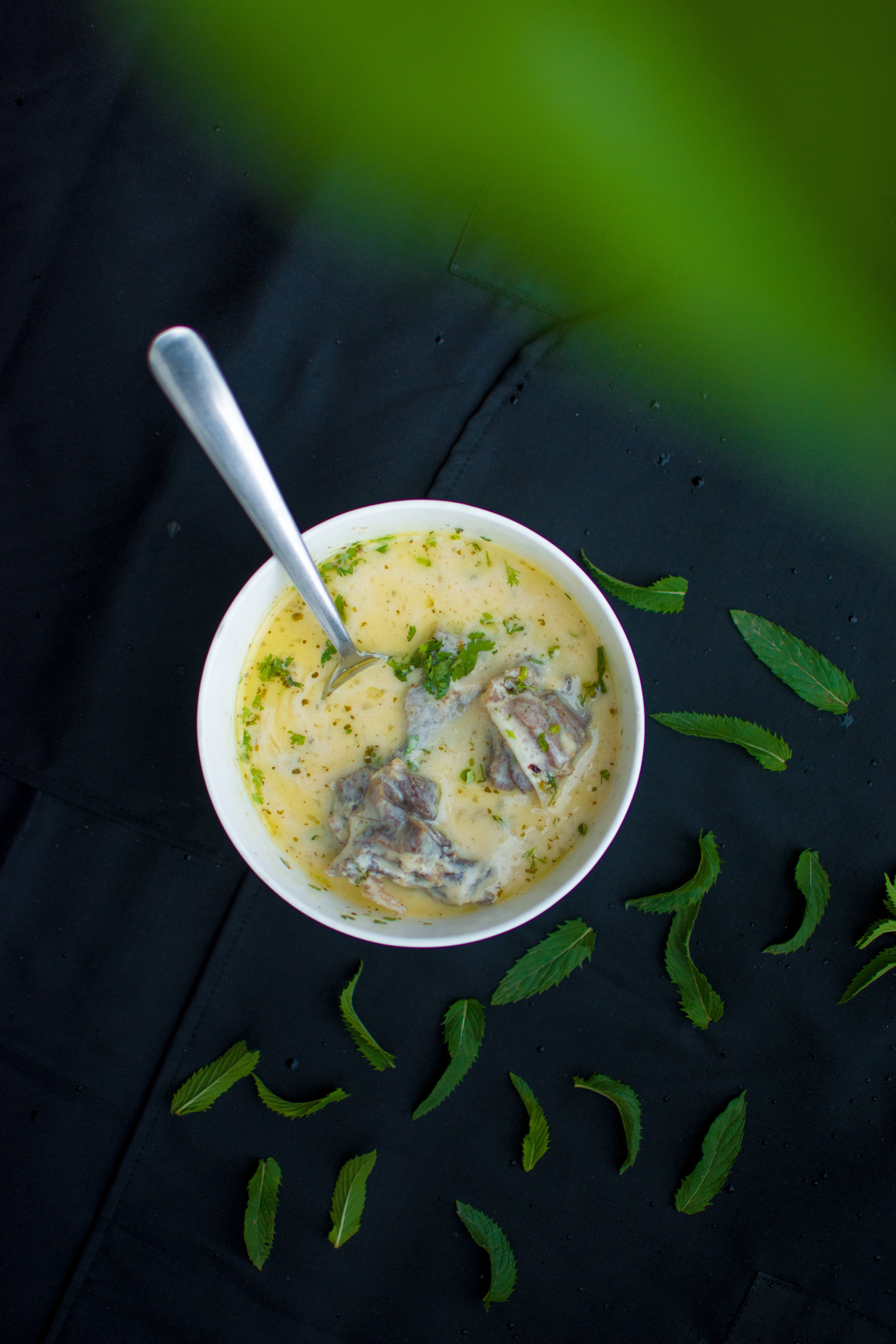 Soupe blanche du bassin d’arcachon