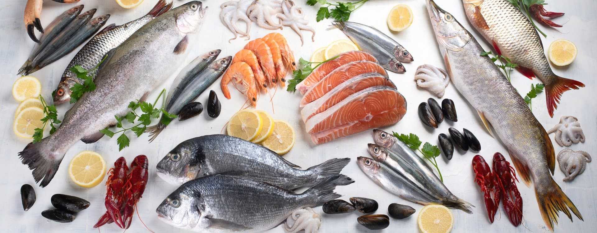 Pourquoi manger de la soupe au poisson sur le bassin d’arcachon ? Pourquoi manger de la soupe au poisson sur le bassin d’arcachon ?