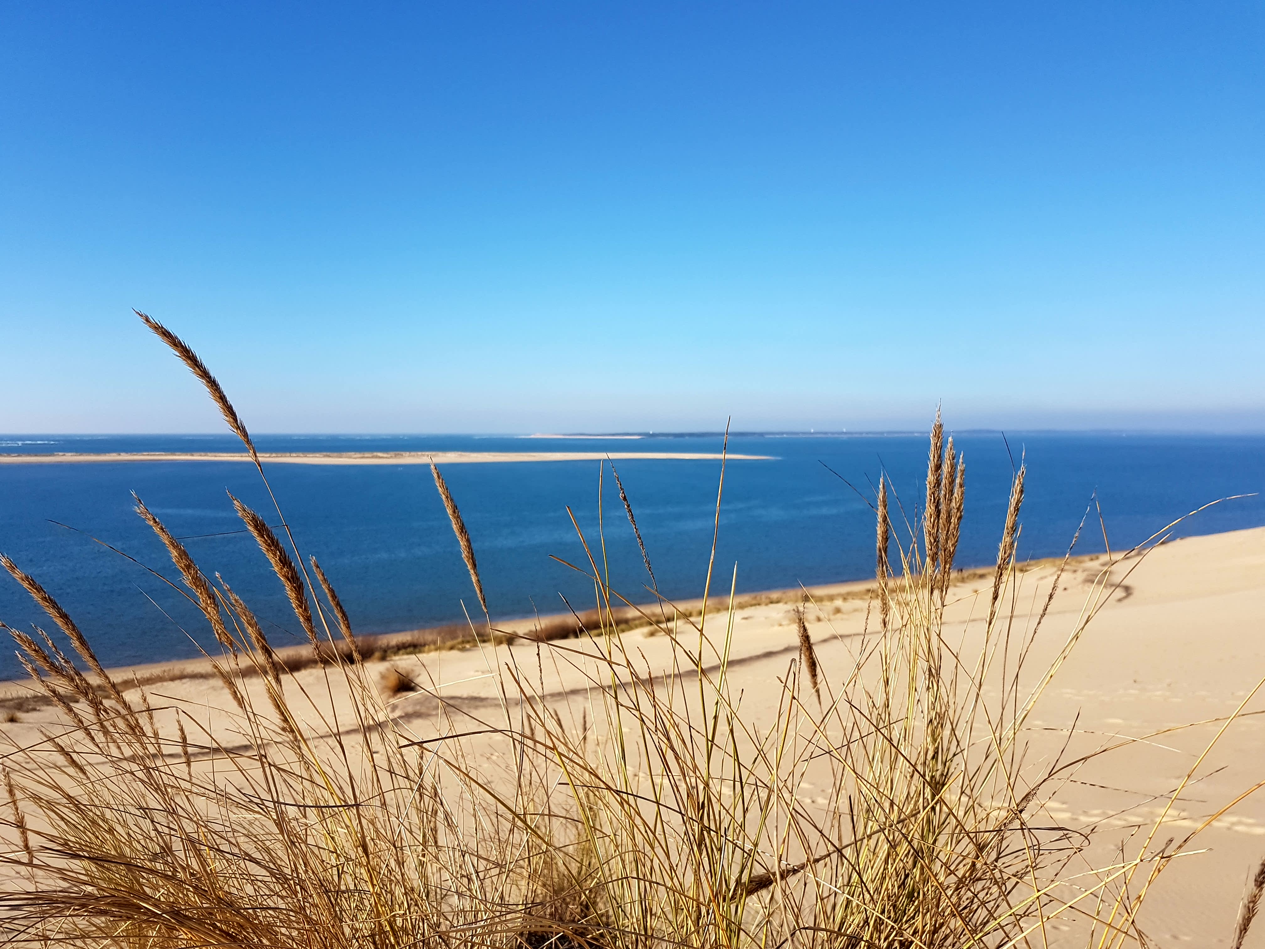 Dunes blanches sur le bassin d’Arcachon