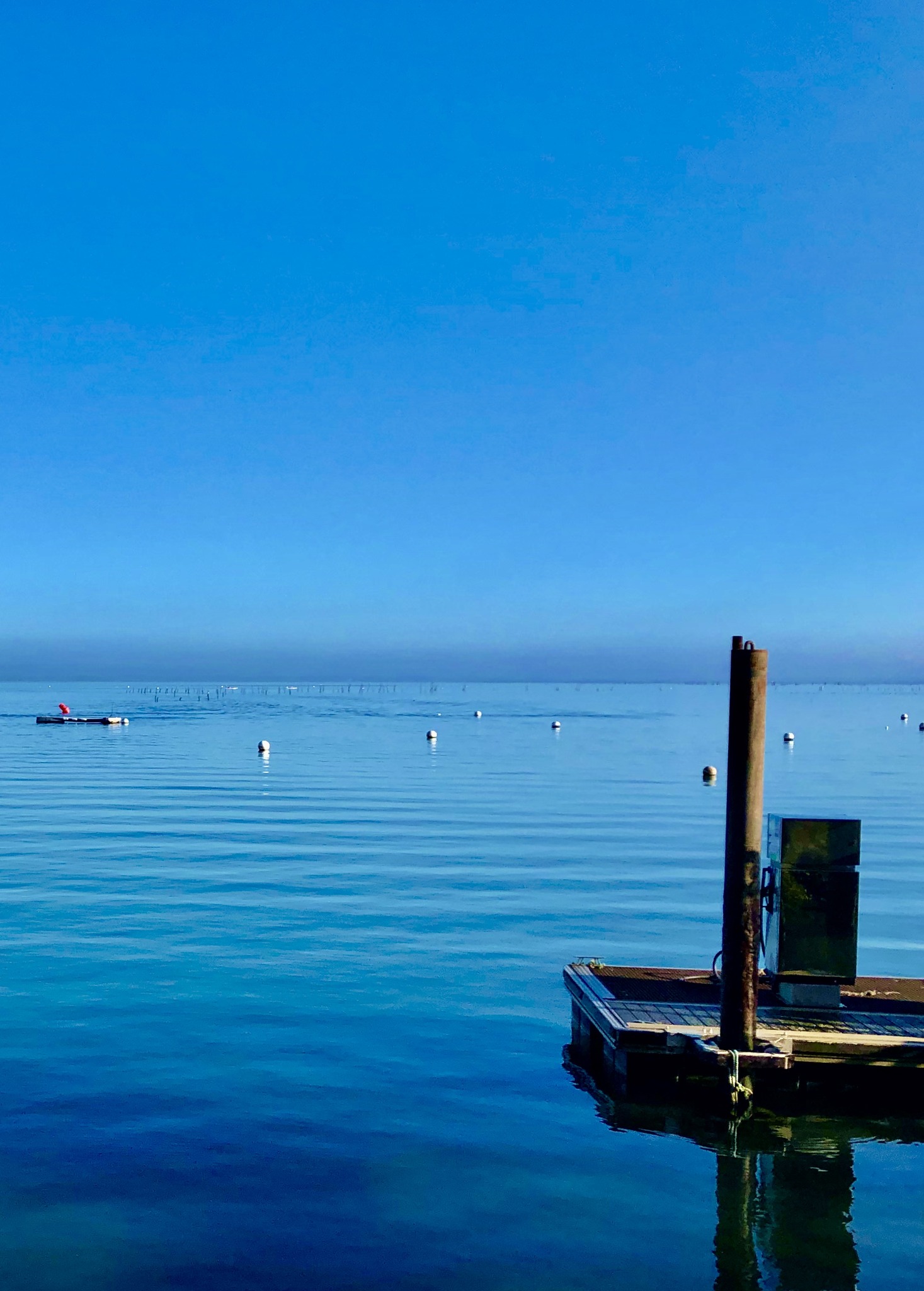 Andernos est pour moi un bout de bassin d’Arcachon authentique