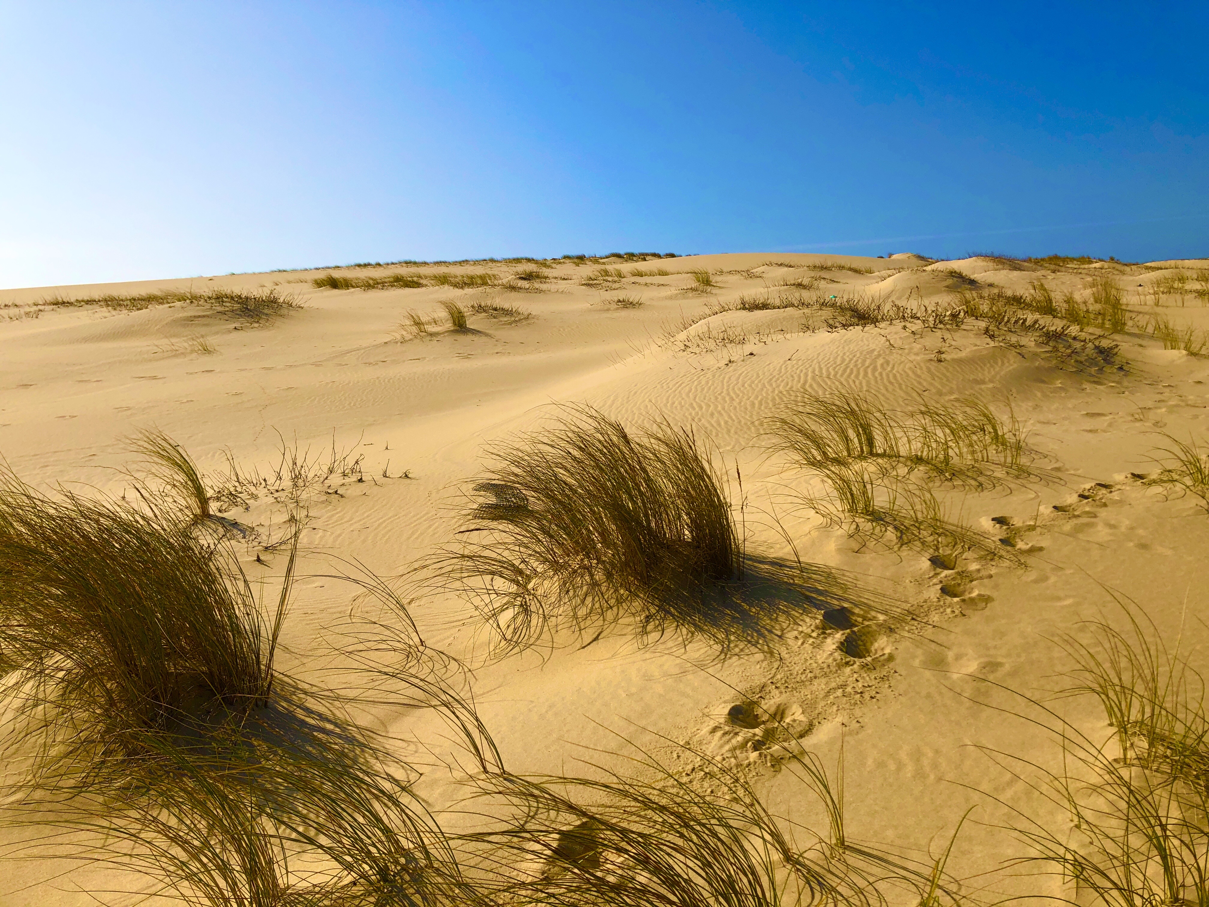 Il est interdit d’emporter du sable du bassin d’arcachon