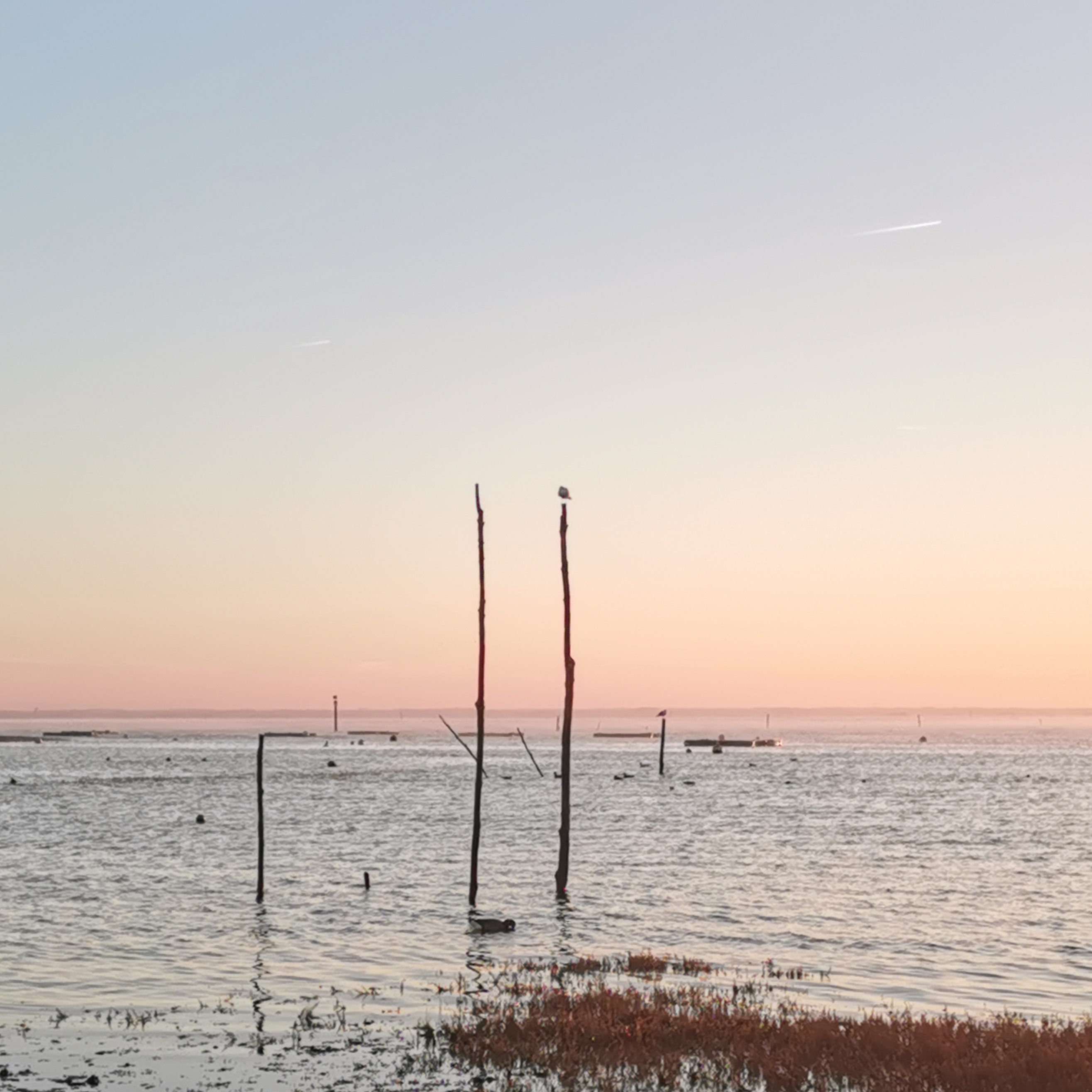 Beauté naturelle à la plage de l’aiguillon lors d’une balade avec mon enfant sur le bassin en hiver