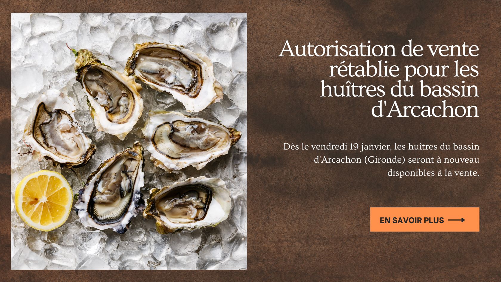Autorisation de vente rétablie pour les huîtres du bassin d'Arcachon