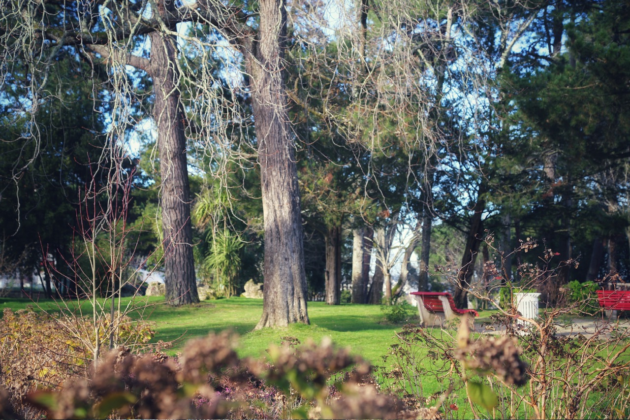 Banc rouge à l’arcachonnaise au parc mauresque