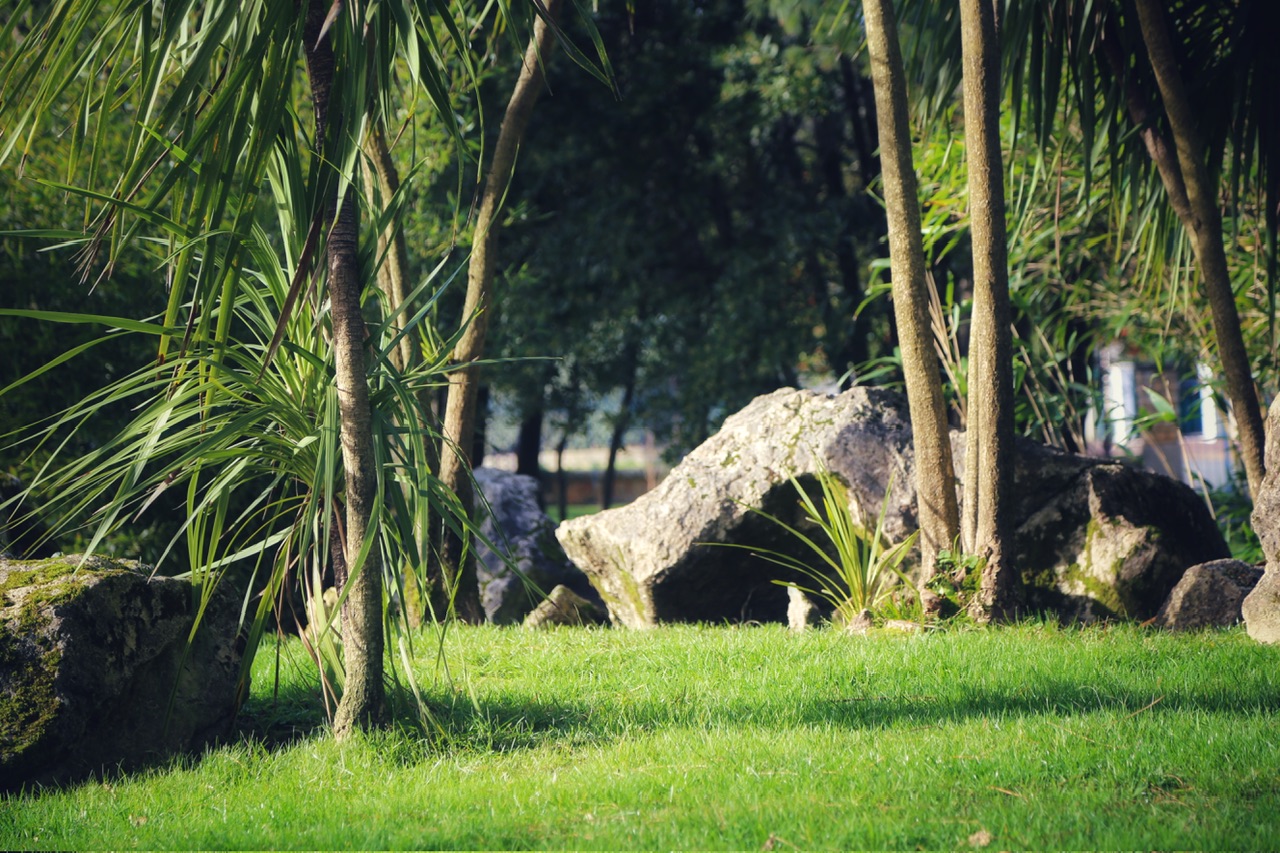 Calme et zen au parc mauresque