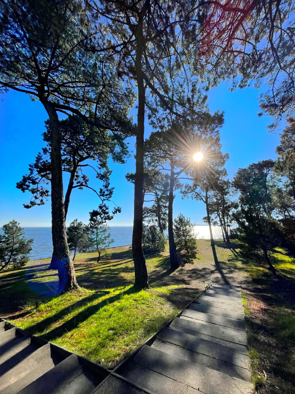 Pointe aux chevaux version hiver Pointe aux chevaux version hiver