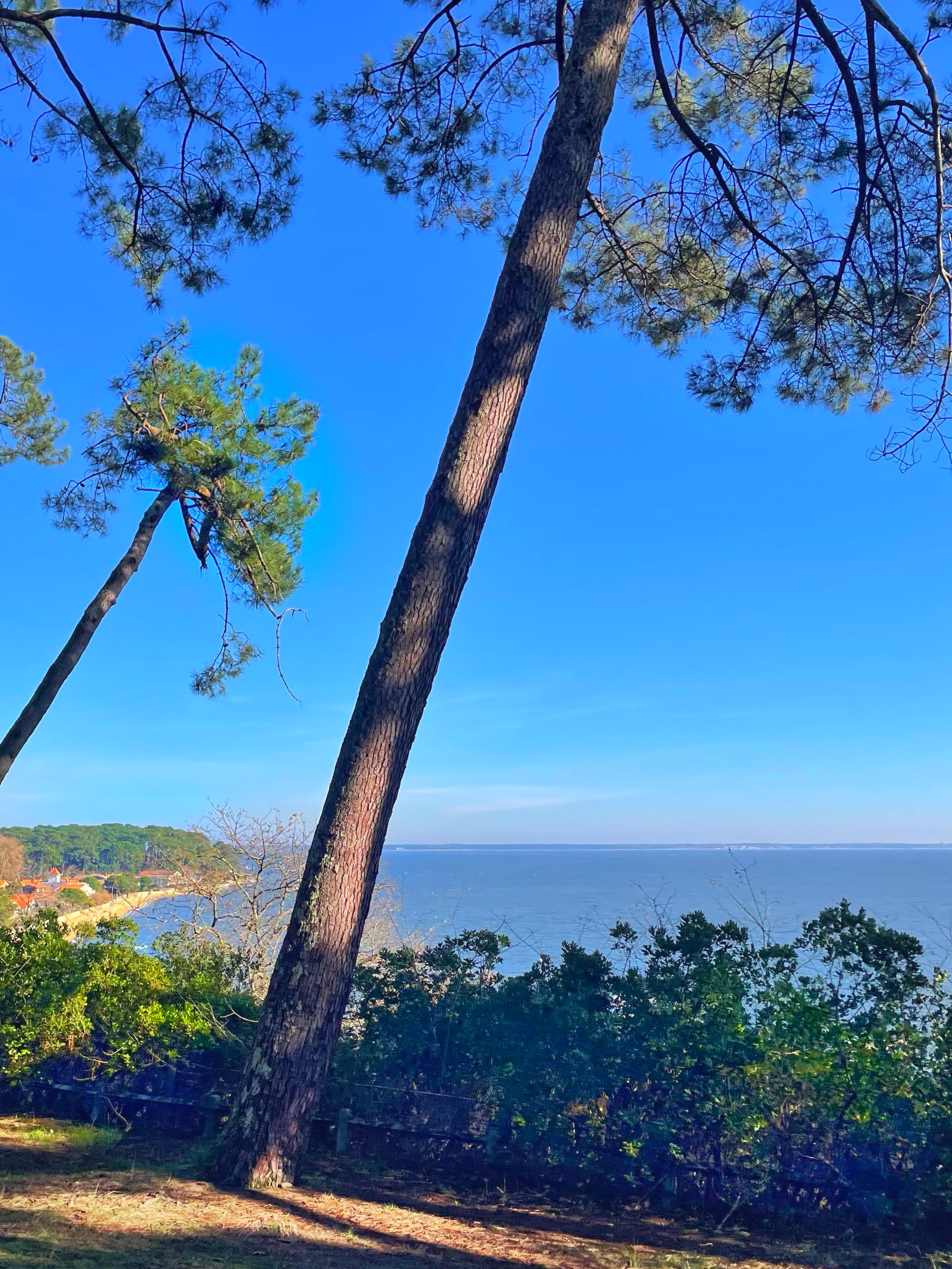 Pointe aux chevaux version hiver Pointe aux chevaux version hiver