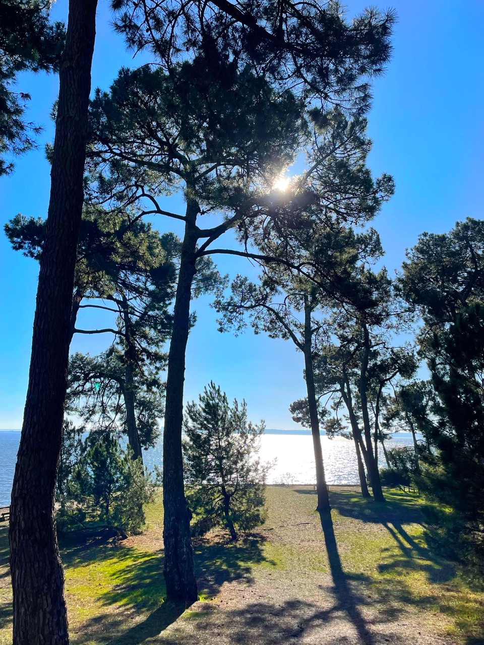 Pointe aux chevaux version hiver Pointe aux chevaux version hiver