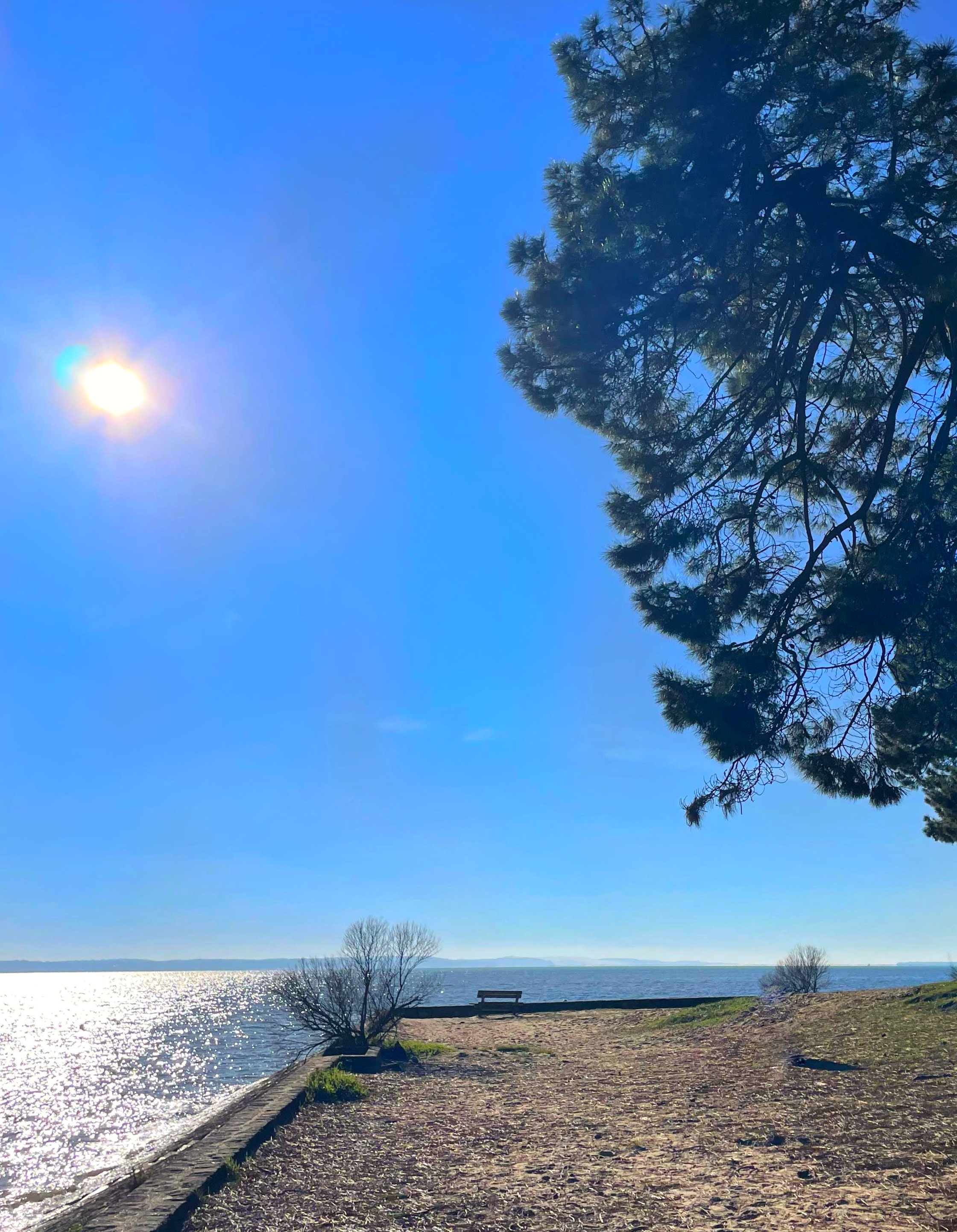 Pointe aux chevaux version hiver Pointe aux chevaux version hiver