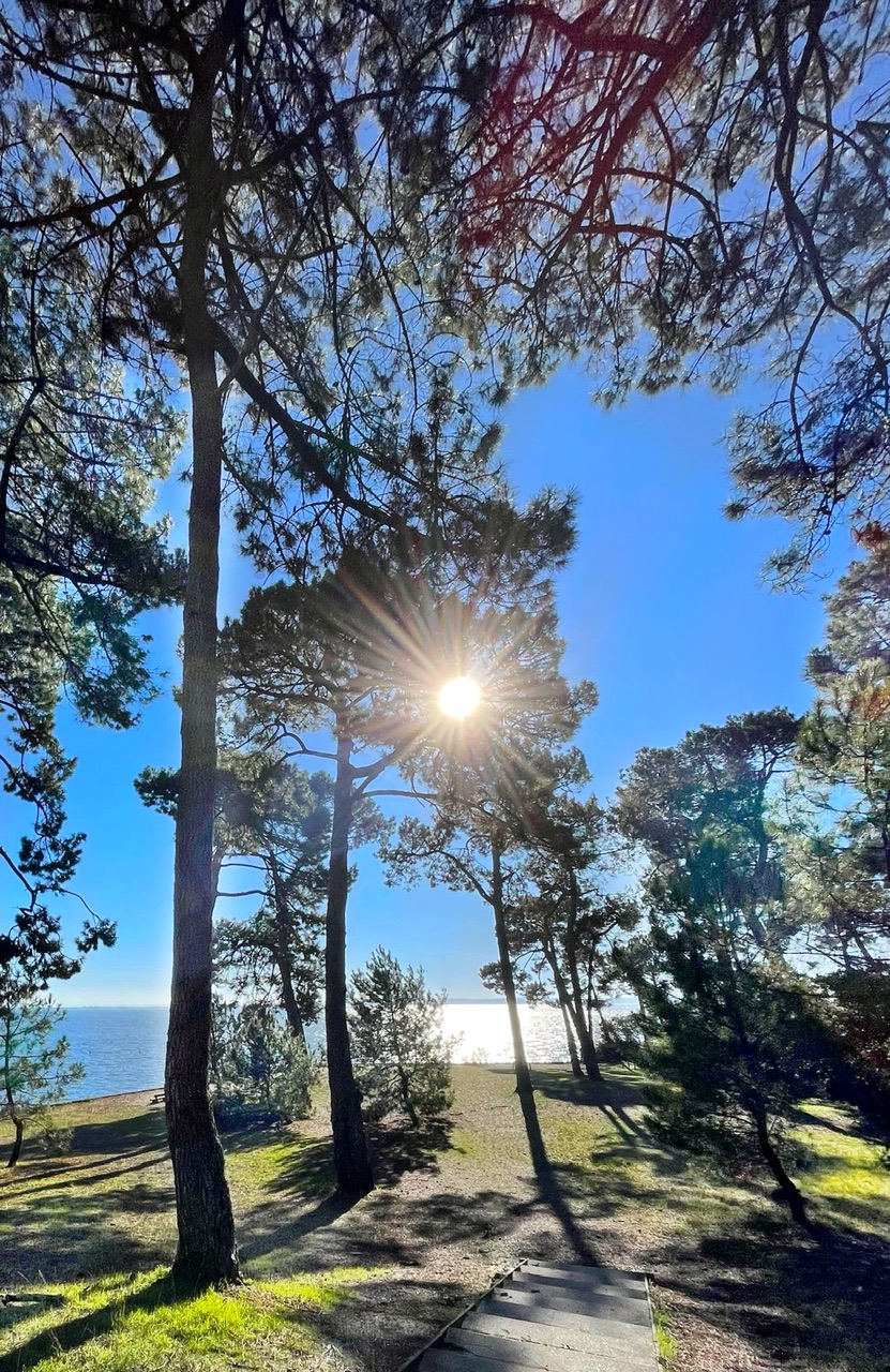 Pointe aux chevaux version hiver Pointe aux chevaux version hiver