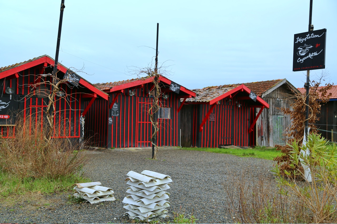 Visite au port de LARROS à Gujan Mestras façon gourmande