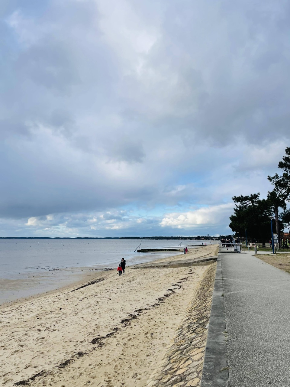 Viens, on va faire une balade sur la plage à Andernos les bains (en plein hiver 🥶)