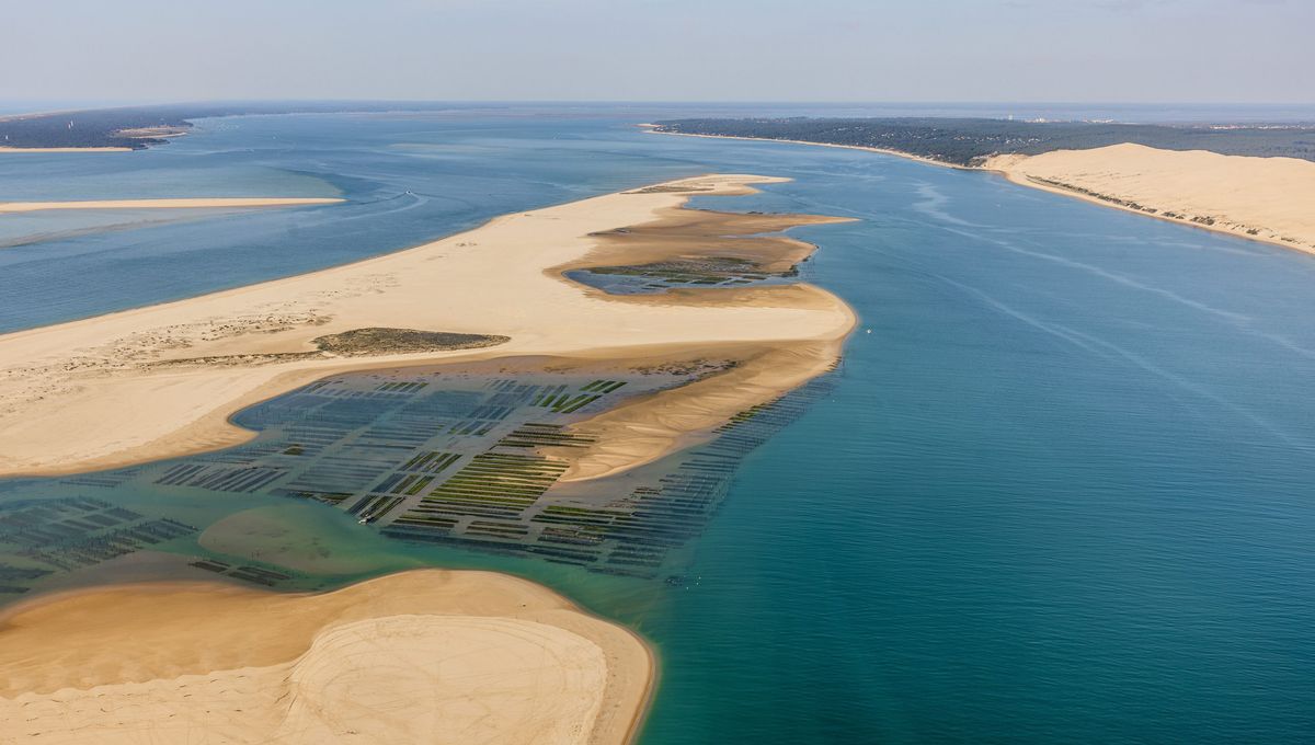 Le banc d'Arguin est en perpétuel mouvement © Maxppp - maxppp FranceBleu