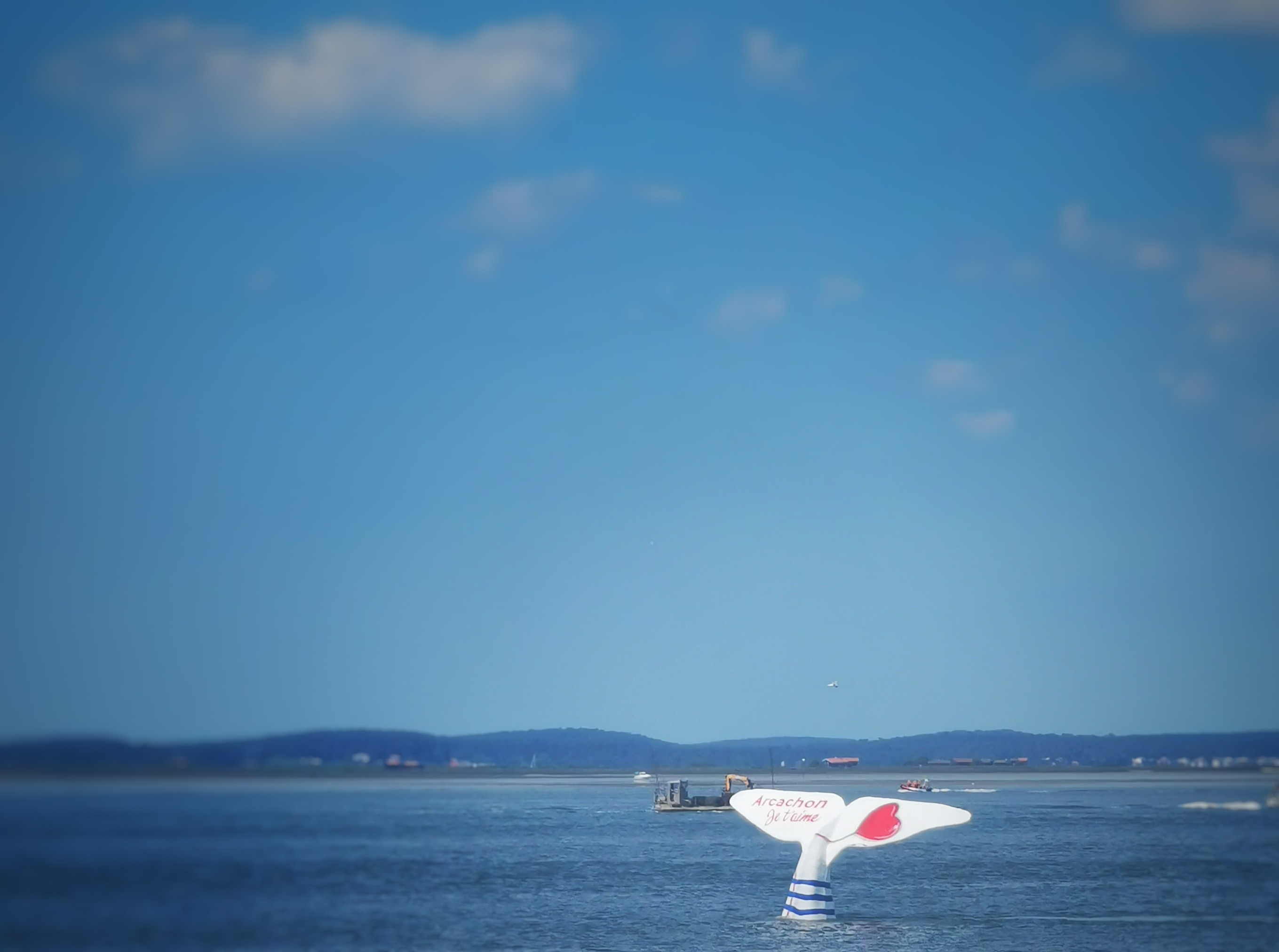 La queue de baleine d’Arcachon 2024