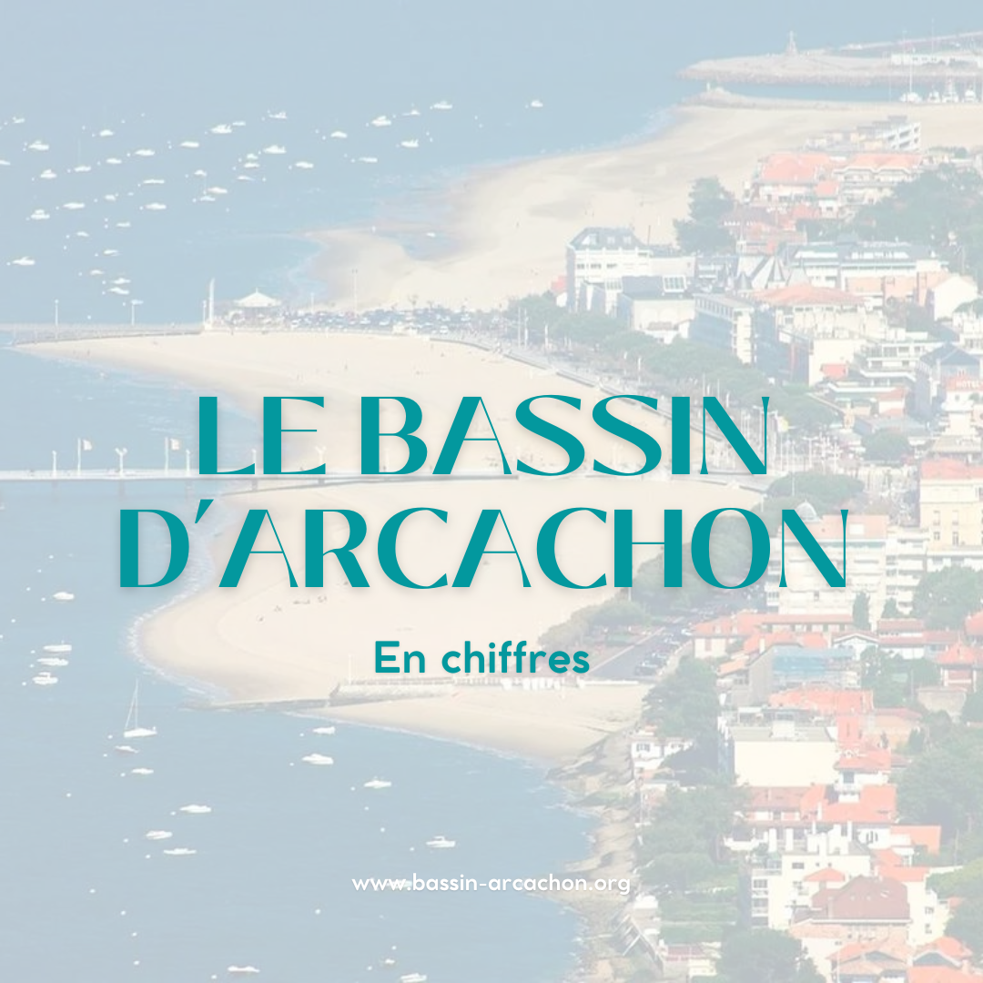 Les chiffres et statistiques 2024 à propos du bassin d’arcachon