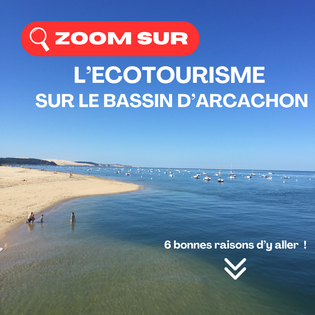 Écotourisme sur le bassin d’Arcachon