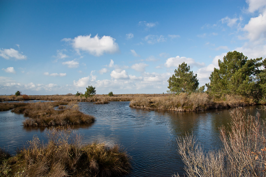 La Réserve Ornithologique du Teich @ DSLRManu