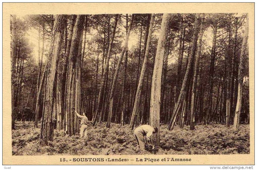 Le métier de gemmeur