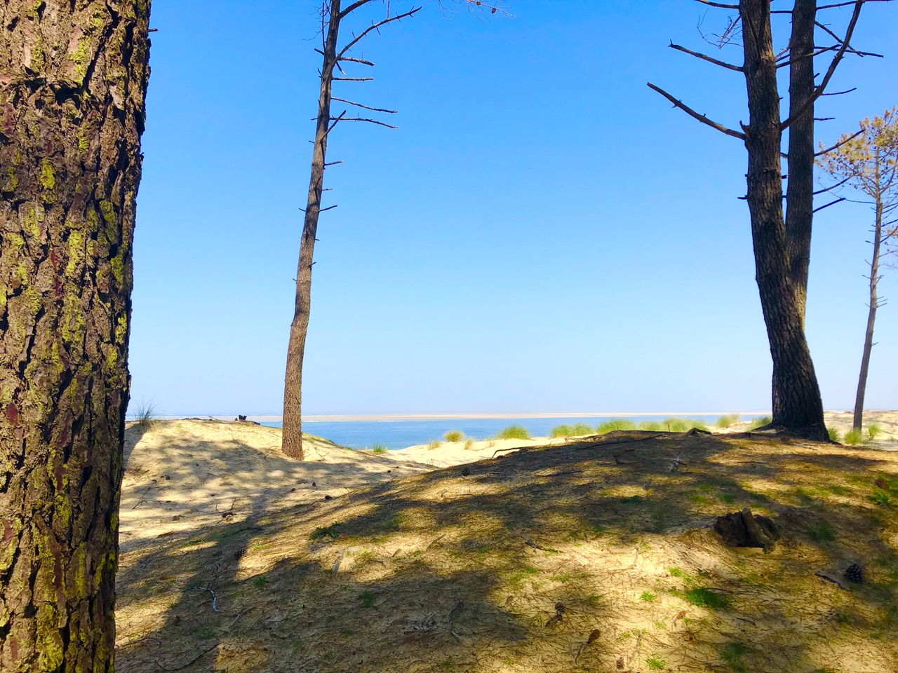Le Bassin d’Arcachon se vide… et pas seulement à marée basse Le Bassin d’Arcachon se vide… et pas seulement à marée basse
