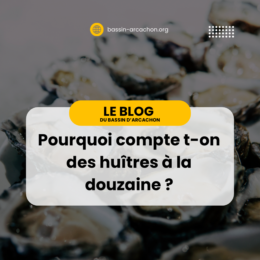 Pourquoi des huîtres à la douzaine ?