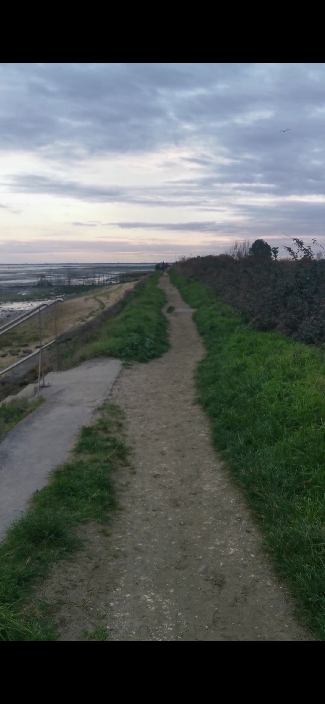Chemin entre le port, le bassin d’Arcachon et les près salés
