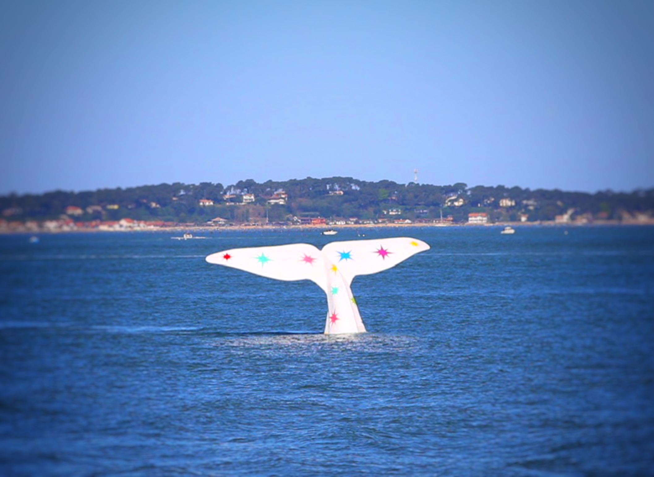 La nouvelle queue de la baleine à Arcachon 2026