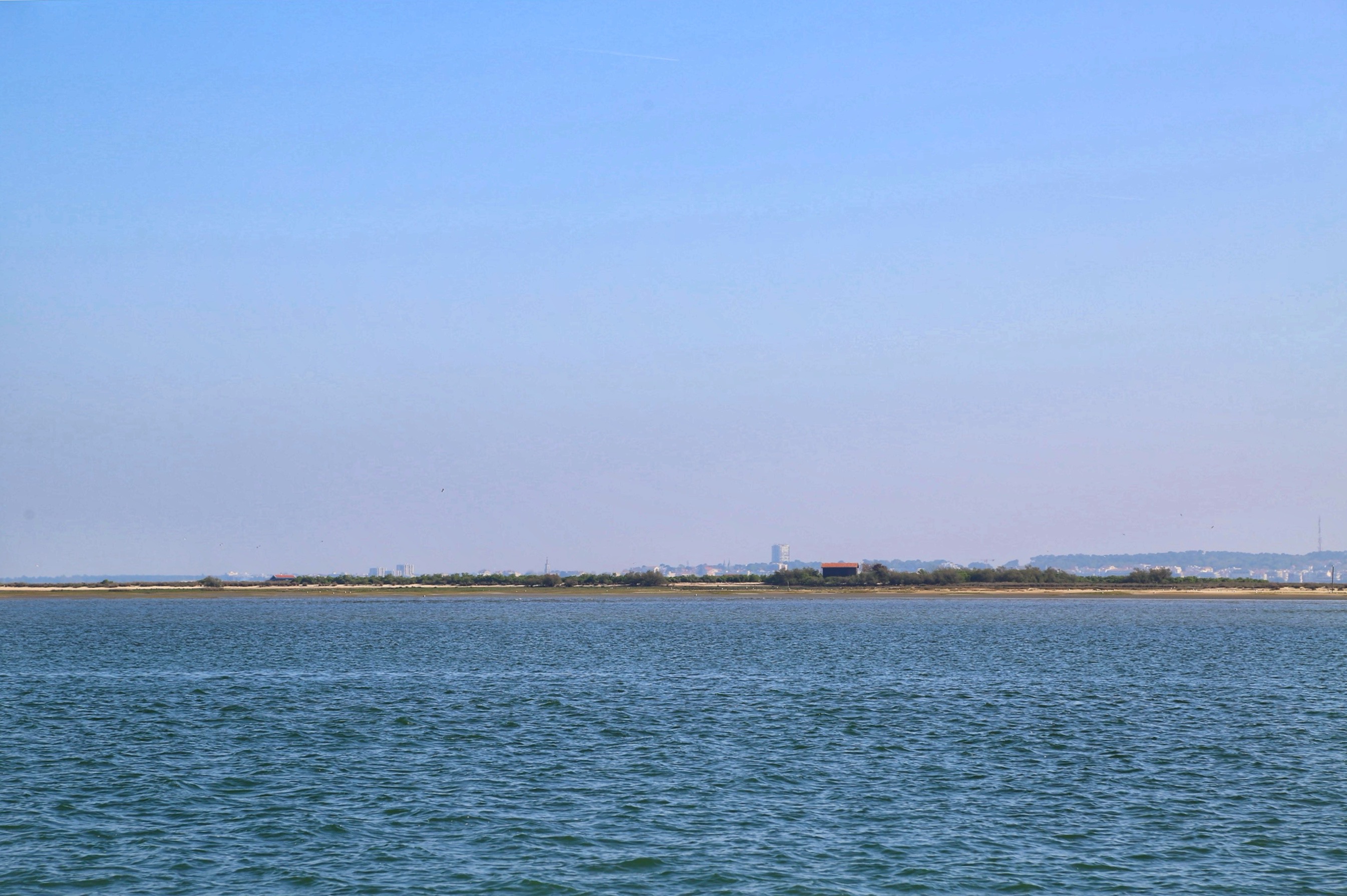 Île aux Oiseaux 📸 Des voiles et des Catas