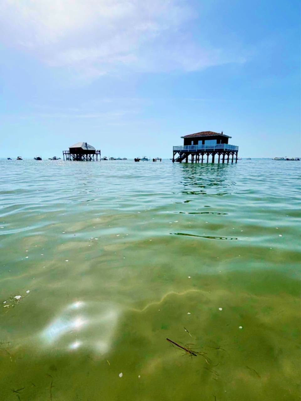 Le bassin d’Arcachon est-il propre ?