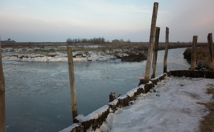 Le Bassin d' Arcachon sous le froid