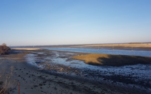 Vue du Bassin depuis les près salés