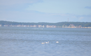 Bassin d' Arcachon couleur pastel depuis Arès
