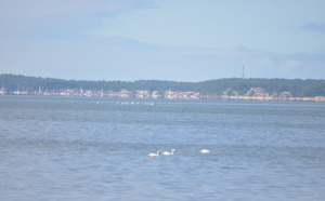 Bassin d' Arcachon couleur pastel depuis Arès