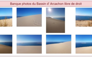 Comment utiliser ce service VIP -  spécial pros du Bassin d' Arcachon