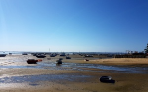 Vidéo Le Four - Jacquet - Presqu'île Lège-Cap-Ferret