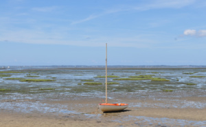 Bassin d' Arcachon à marée basse depuis la plage de Taussat Les Bains