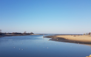 Vidéo depuis le Port de la Hume à Gujan Mestras