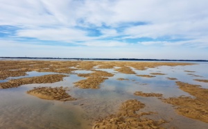 Banc de sable de Pereire à marée montante