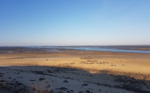 Près salé entre Gujan et La Teste face bassin d'Arcachon