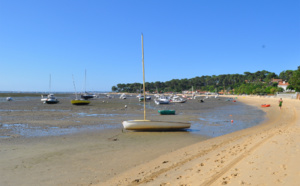 Que signifie Petit Piquey en gascon ?