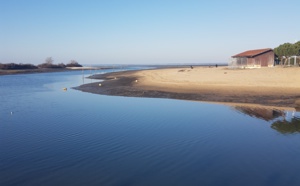 Calme hivernal au port de la Hume à Gujan-Mestras