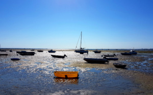 Petit Piquey sur la presqu'île de Lège Cap Ferret