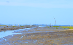 Sortie de chenal à Taussat