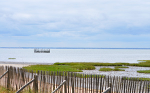 Depuis Arès vers le Bassin d'Arcachon