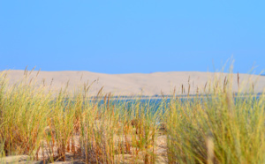 La dune et son environnement