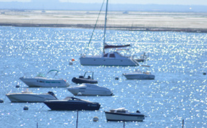 Balade sur bassin d' Arcachon à marée basse