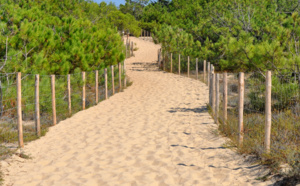 Prêt à vous promener sur le bassin d' Arcachon cet été ?